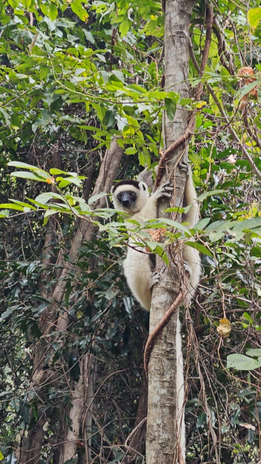 Circuit des Hautes Terres 3